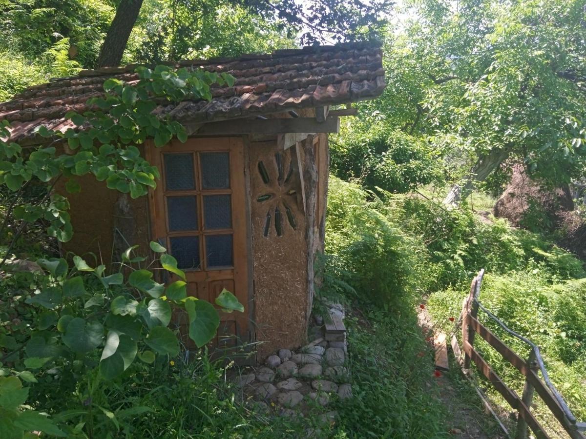 The House In The Village *
